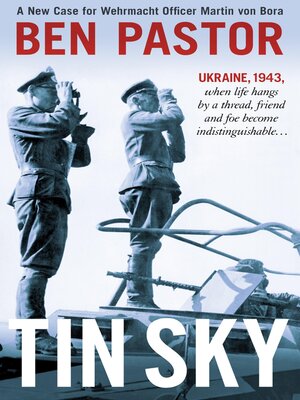 cover image of Tin Sky